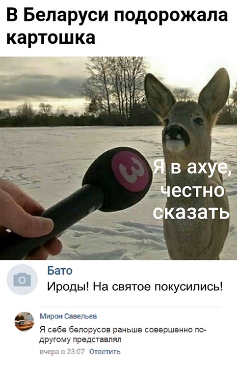 Прикольные комментарии и высказывания из Сети 23. 01.