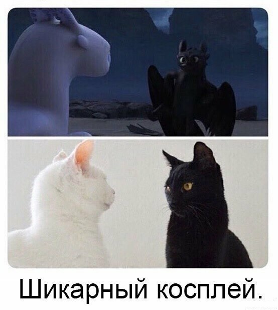 Анекдоты, соц-сети и картинки с надписями