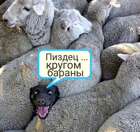 Немного картинок на вечер