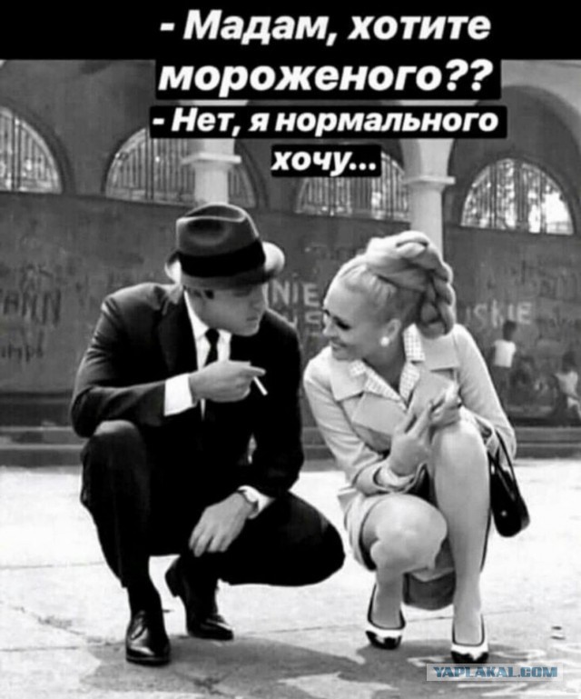 Бабы дуры. Примеры  из одного прошлого романа