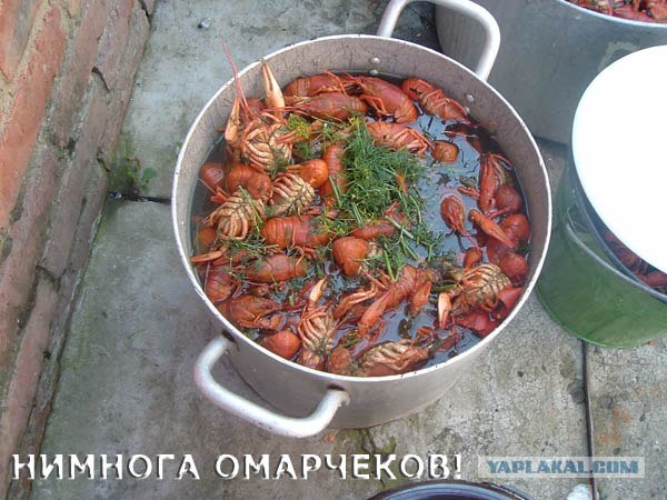 Первая ПЯТНИЦА июля! 04.07.08 - 13 фот