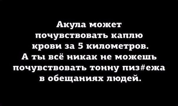 Прикольные картинки и фото с надписями и коментами