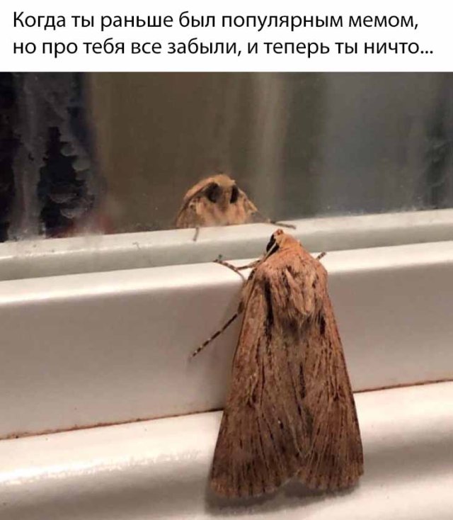 Чуток картинок 18.05.20