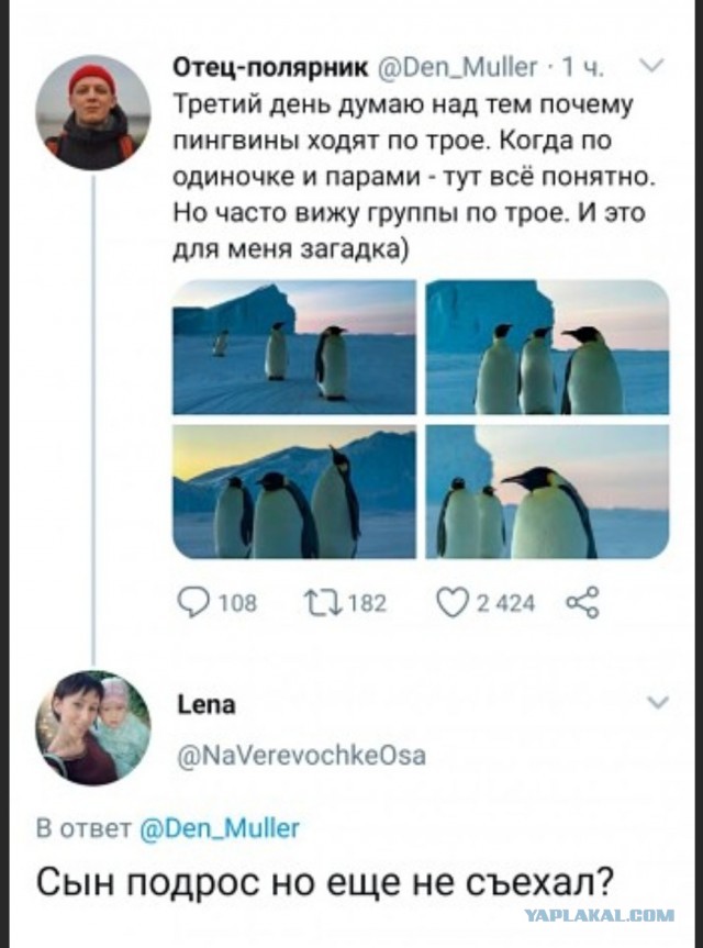 Бредзона 05.06.2020