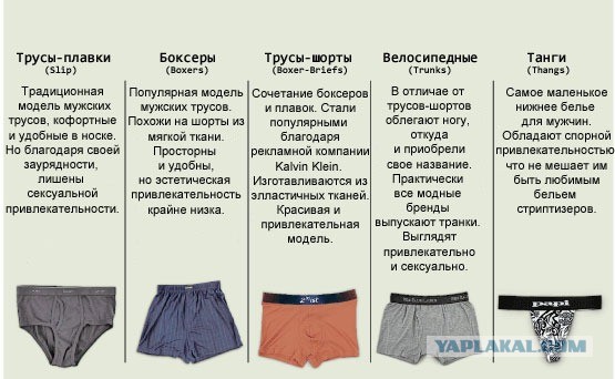Дамы, давайте поговорим о действительно важном.