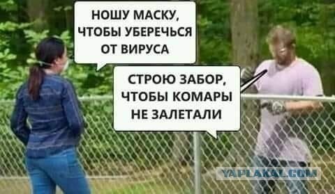 На волне шведских новостей о пандемии