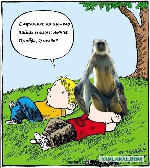 Смотрим на облака вместе