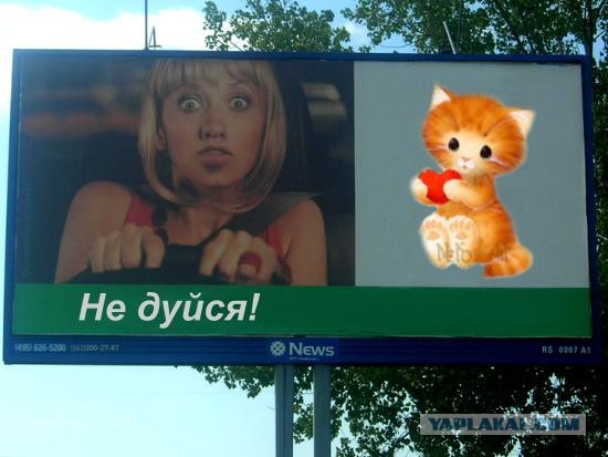 Фотожаба: Не бойся!