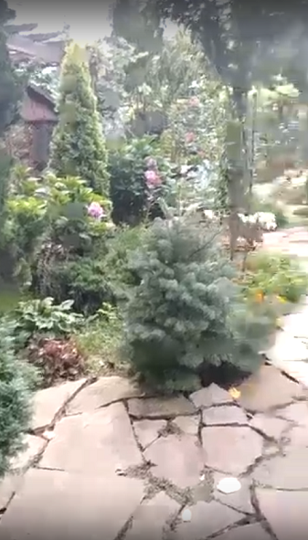 А вы ещё сажаете картошку