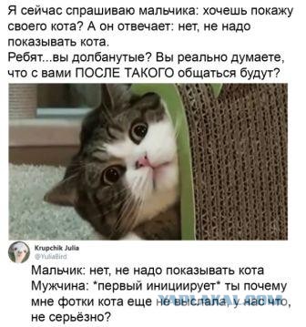 Юмор в картинках 17.11.20