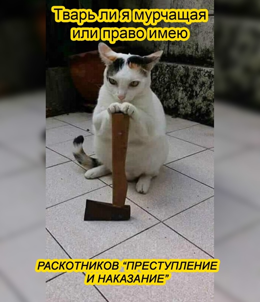 Картинки и мемы для настроения 02.02.2021