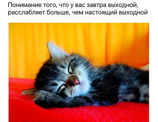 Картинки и мемы для настроения 002