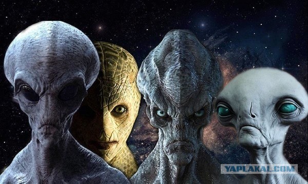 Казнь гостя с Нибиру: Уфологи-маньяки посадили пришельца на кол