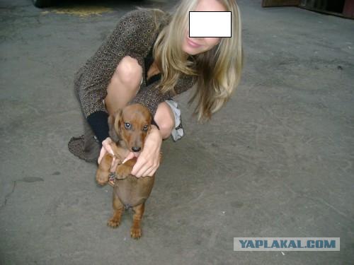 Хоспаде, какое мимими