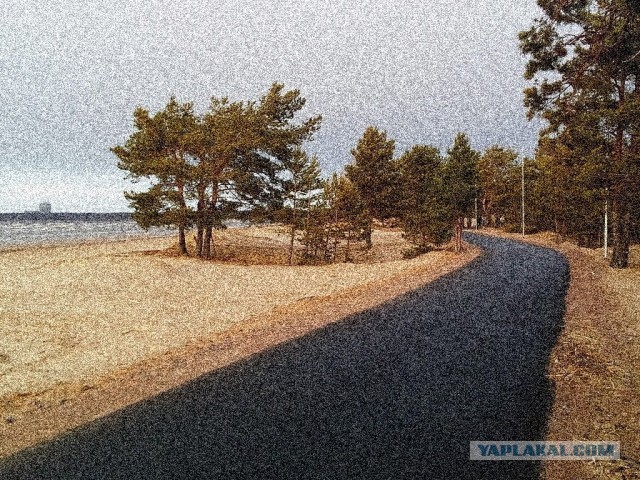 Живу в Сосновом Бору