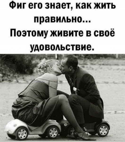 Весёлый полтишок 23.07