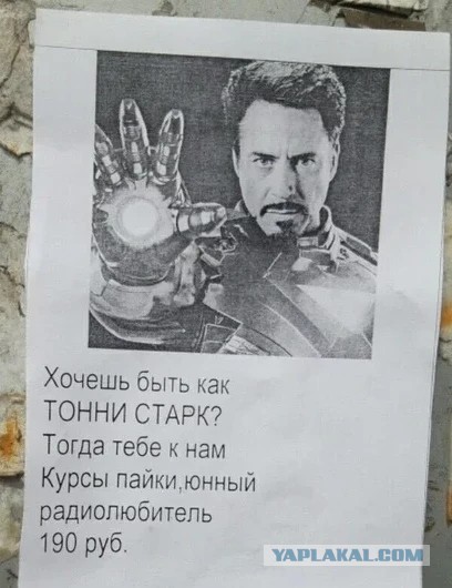Весёлый полтишок 5.08.21