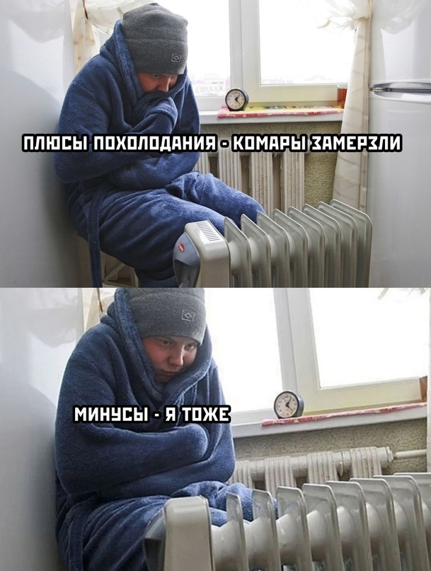Весёлый полтишок 23.09
