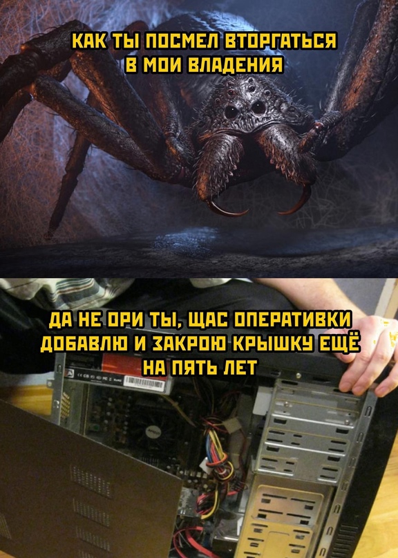 Весёлый полтишок 22.10