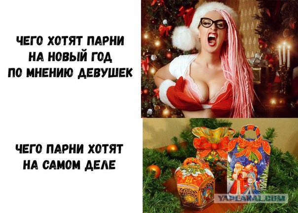 Картинки и мемы для настроения 21.12.21
