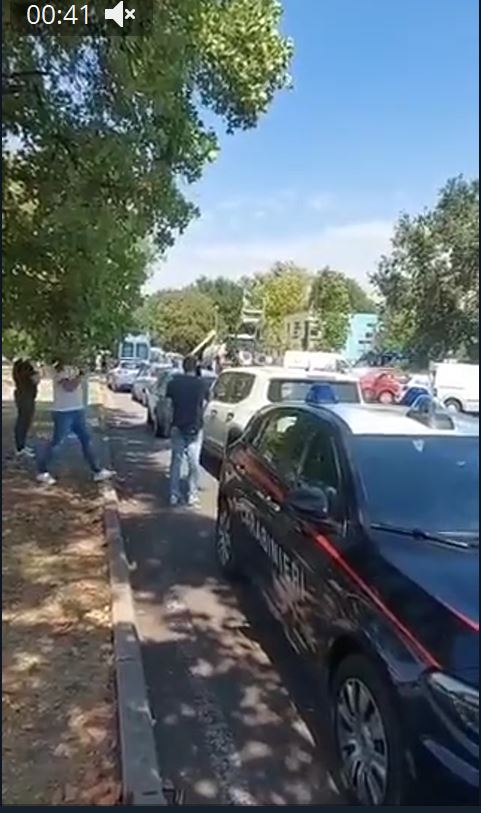 Пандемия съехавших крыш - разновидности болезни. Россия и мир. Часть 38