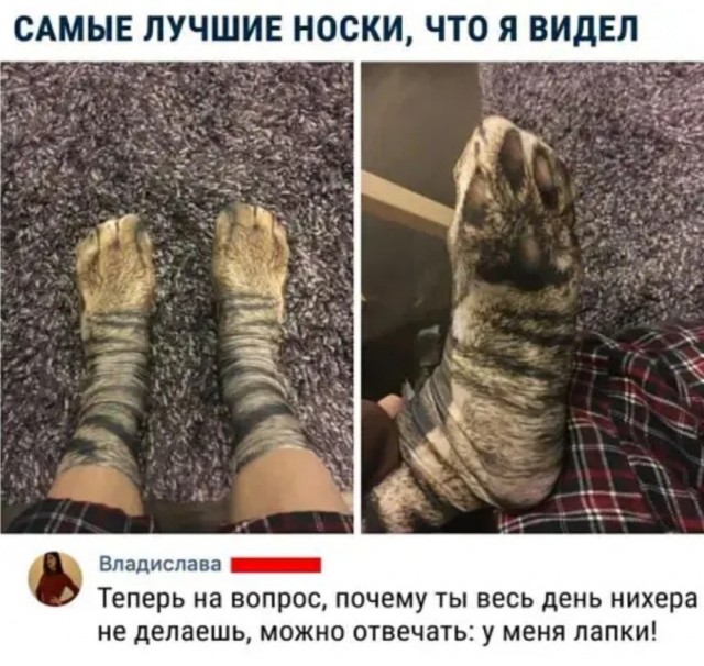 Весёлый полтишок 11.08.22