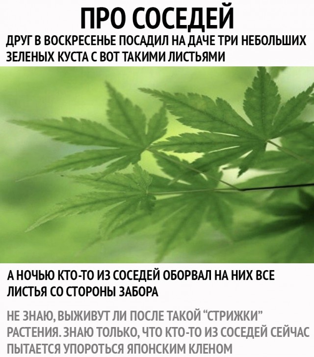 Воскресная наркомания, для деградантов