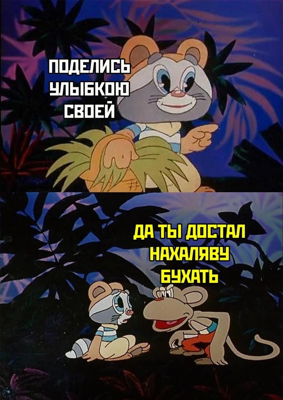 Памятка по выживанию среди енотов в походе