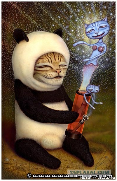 Новаая песенка от Enjoykinа - Безысходность