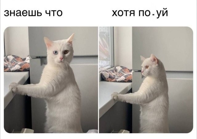 Прошло 10 лет. Украина уже 6 лет как в Евросоюзе, а у нас 4 года, как запретили письменность
