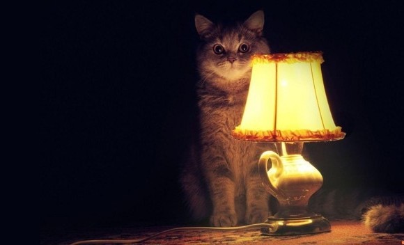 Когда уже привык настолько, что тебе всё пофигу