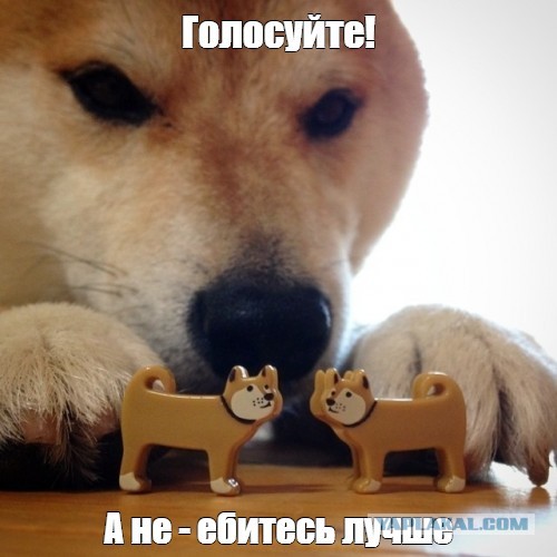 По ребенку в год: работодателям придется следить, сколько детей рожают их сотрудники