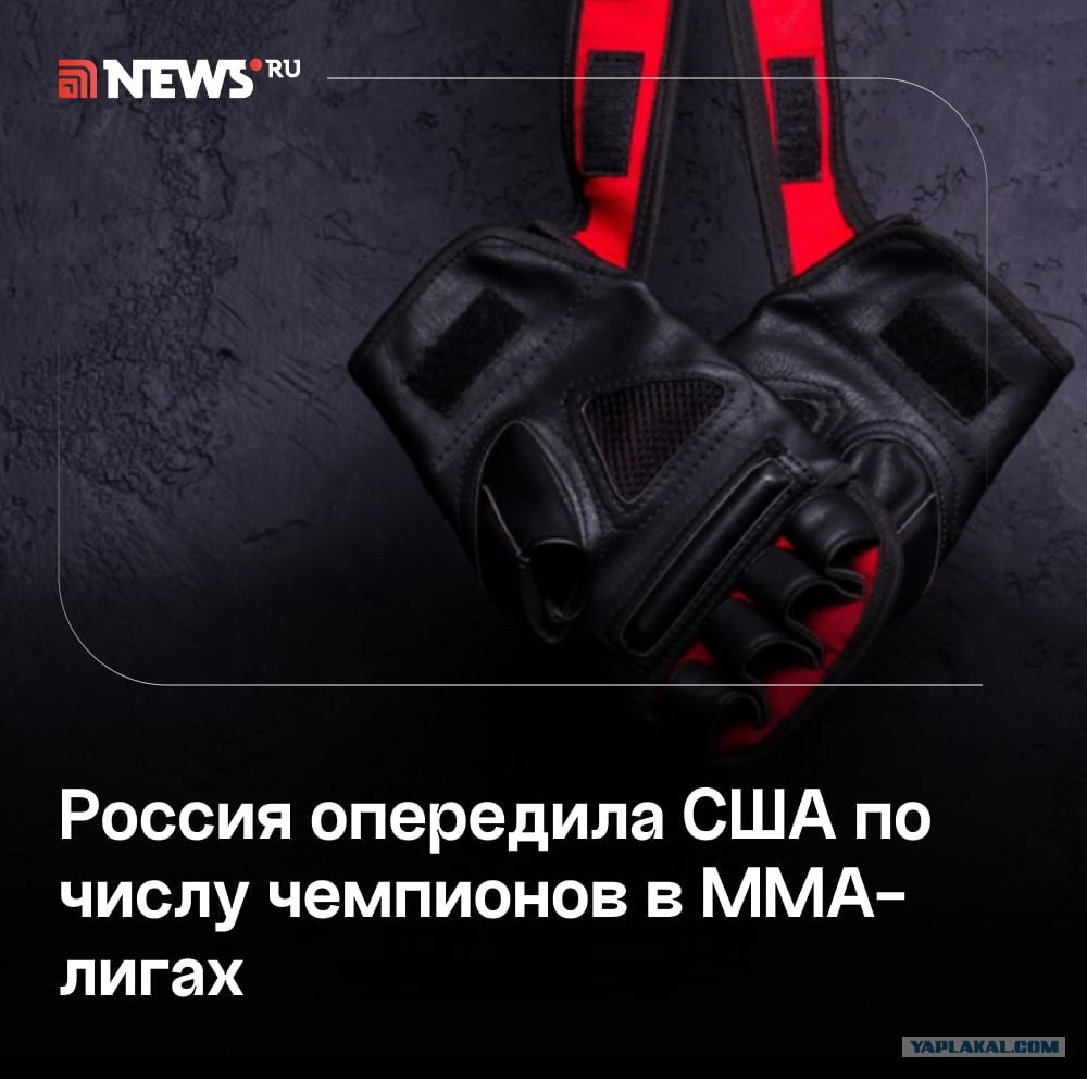 Курамагомед рамазанов Курамагомед рамазанов