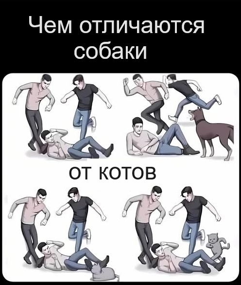 Картинки разные с надписями и без