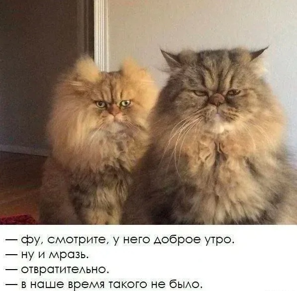 Так себе картинки 16.05.25