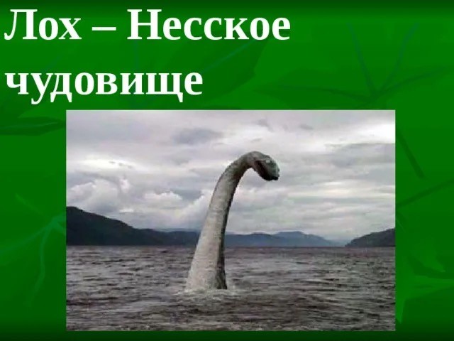 Кинули на гамнито