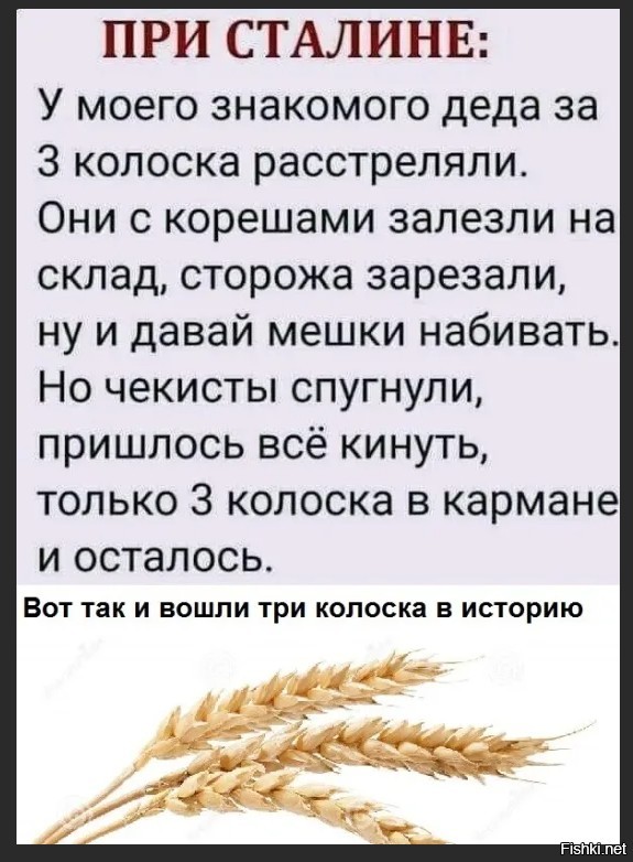Срок за катушку ниток⁠⁠