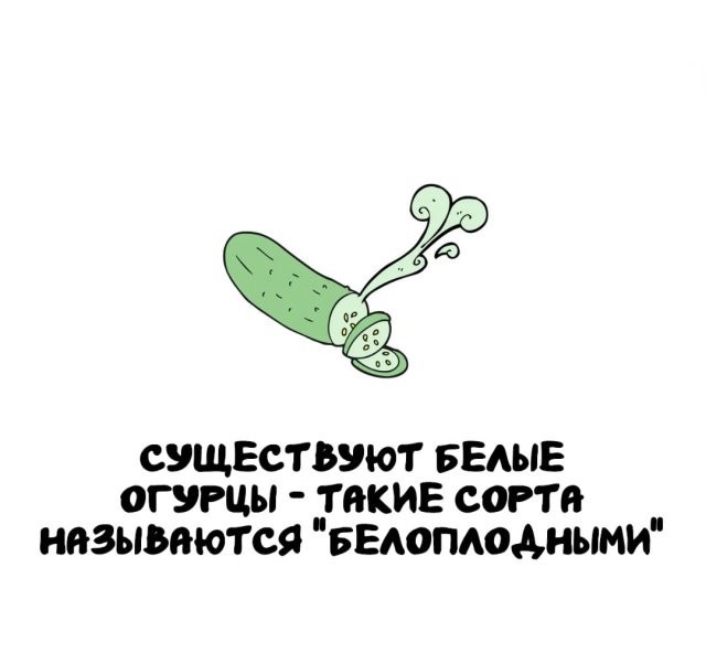 Подборка интересных фактов на все случаи жизни 26.11.25