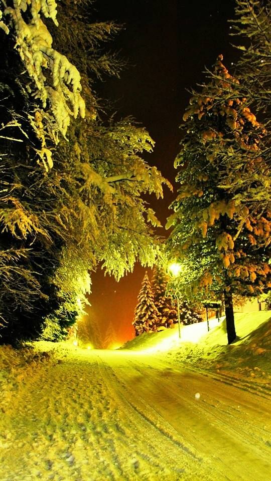 Прикольные и просто красивые картинки 28.11.2025