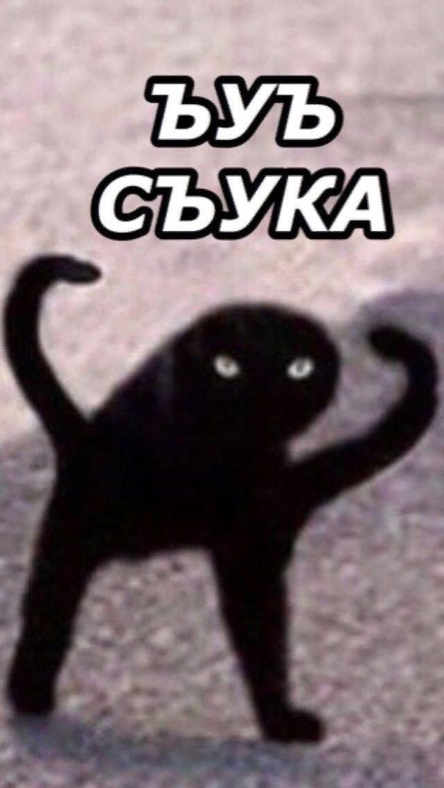 Куда мы идём?
