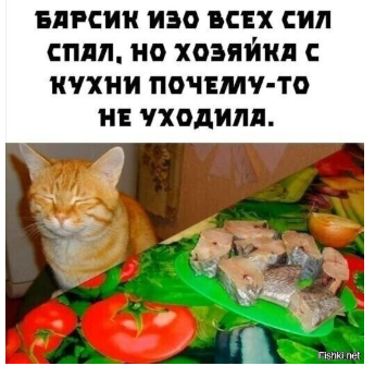 Мои рисунки