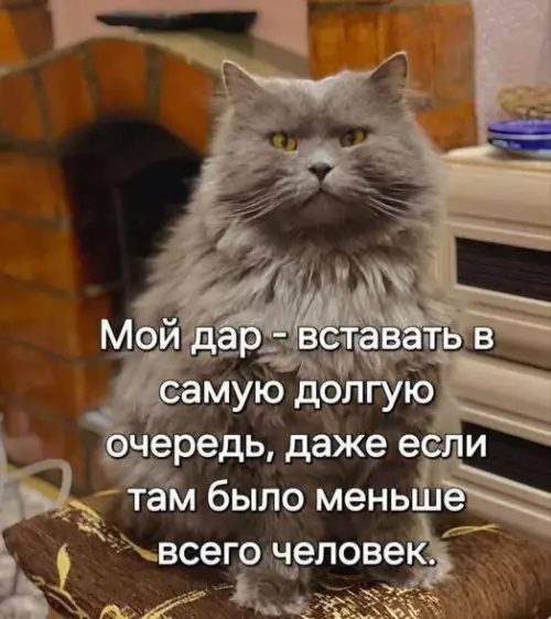 Картиночки, баянчики 15 февраля