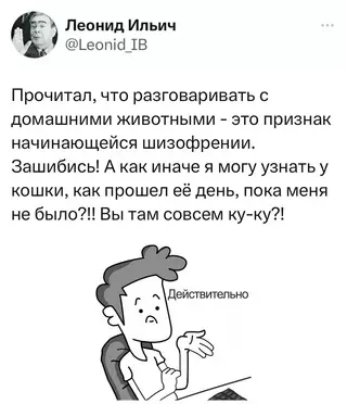 Картиночки, баянчики 16 февраля