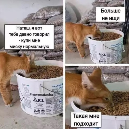 Картиночки, баянчики 07 апреля