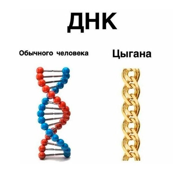 Большой взрыв создал материю… Но кто написал программу жизни?