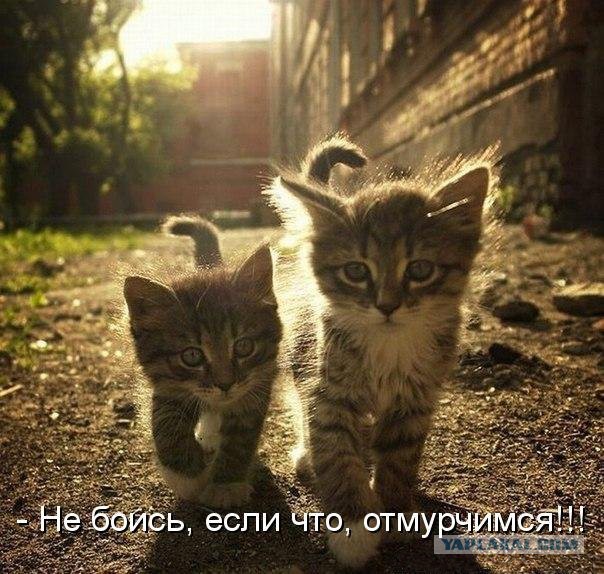 И кто это сделал?