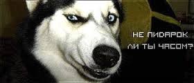 О нетолерантных гомофобах