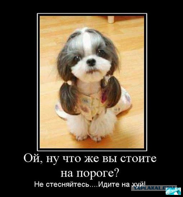 Валенса: у Путина нет ни единого шанса