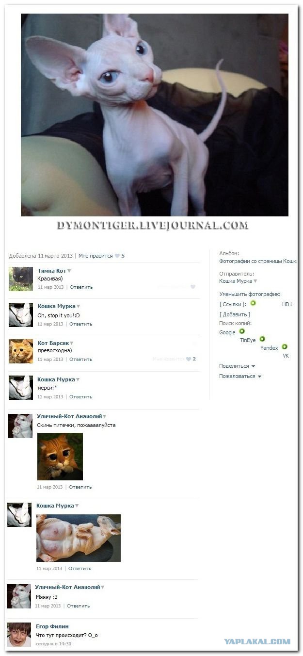 Смешные комментарии из социальных сетей #2