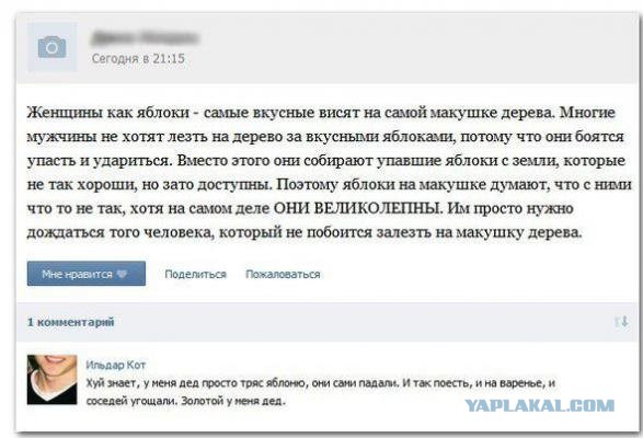 Смешные комментарии из социальных сетей #2